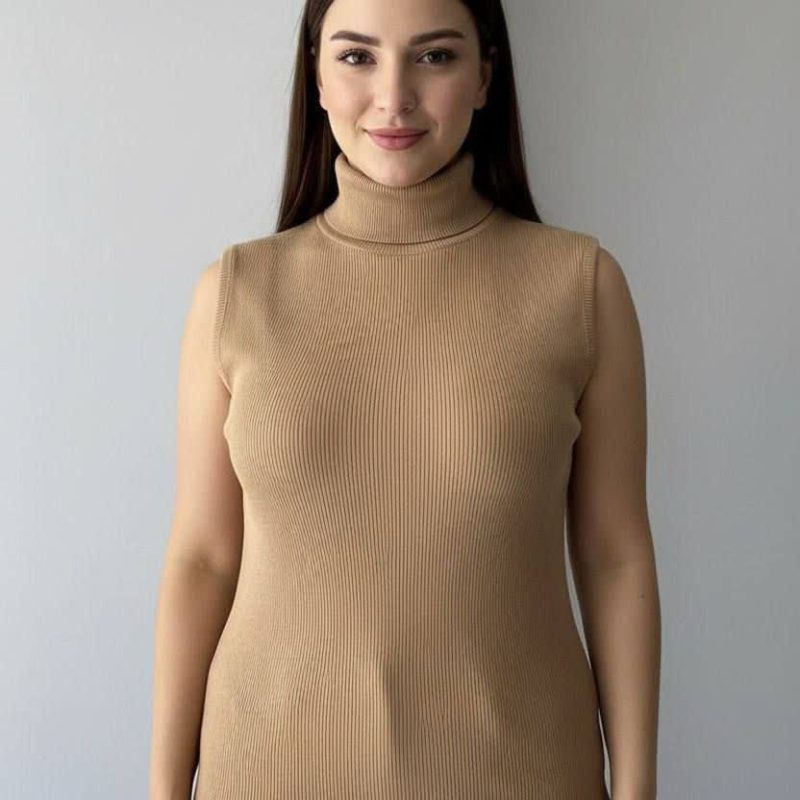 تاپ یقه اسکی